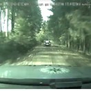 Známy recidivista to policajtom nedal zadarmo. Šialenou jazdou cez les im unikal ako zmyslov zbavený