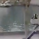 Kamera zachytila únik lupičov z Louvru. Pohodlne na plošine