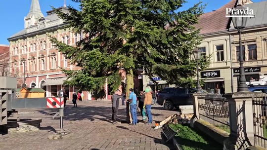 Aj Košice už majú svoj vianočný strom