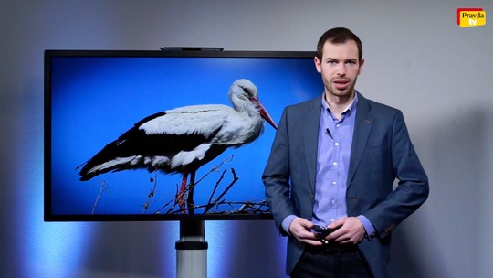 Predpoveď počasia - video